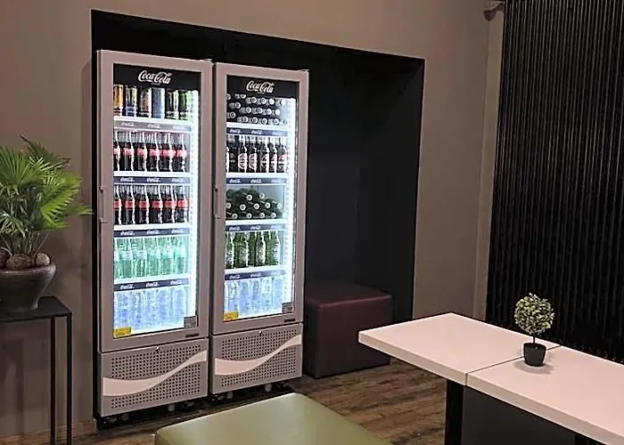 彩色酒店 美因河畔法兰克福