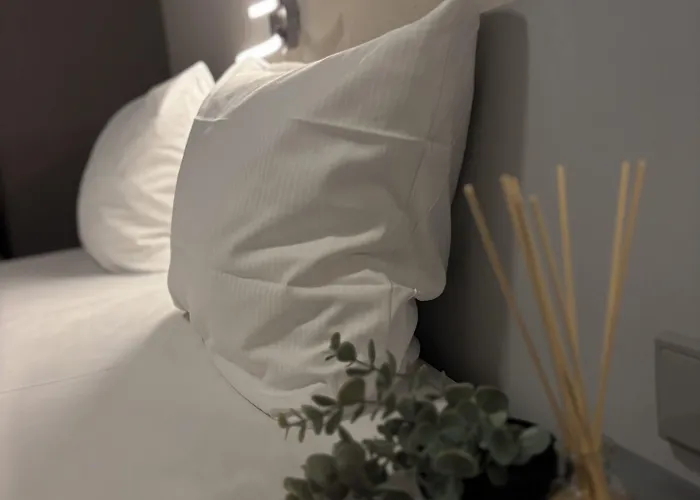 Hotel Colour 3*